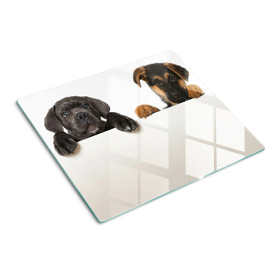 Glazen snijplanken Twee honden kijken rond