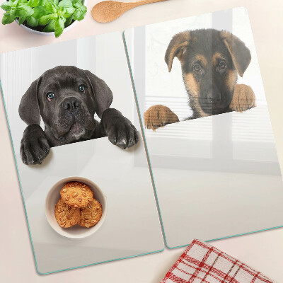 Glazen snijplanken Twee honden kijken rond