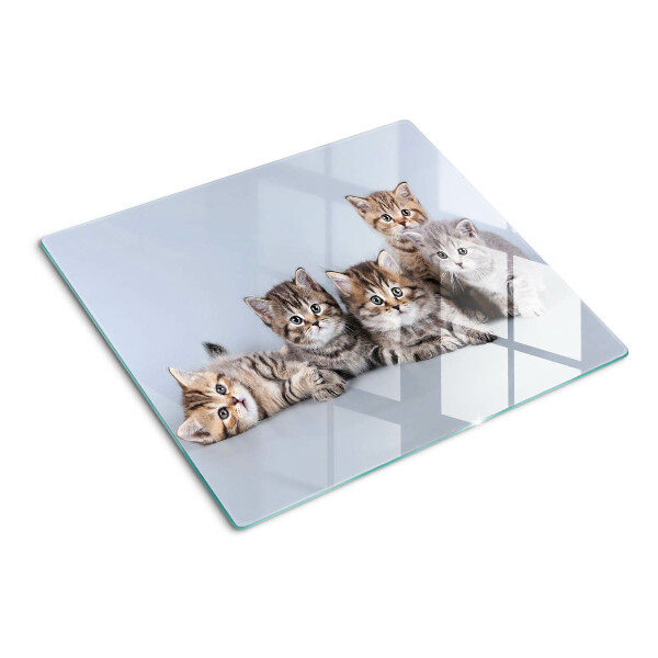 Snijplanken glas Katten voor het raam