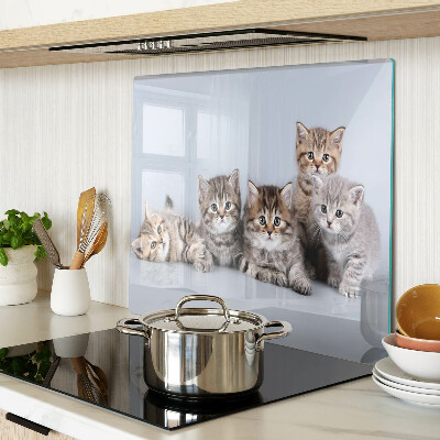 Snijplanken glas Katten voor het raam