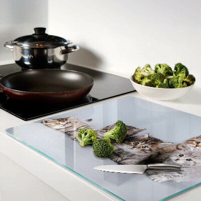 Snijplanken glas Katten voor het raam