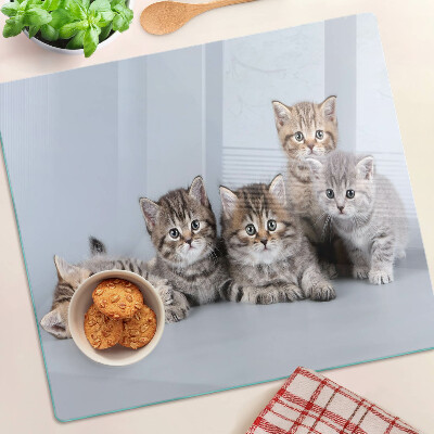 Snijplanken glas Katten voor het raam