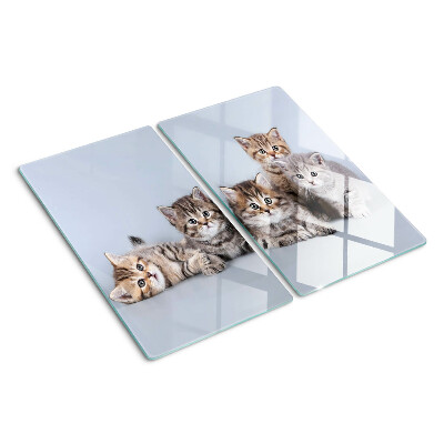 Snijplanken glas Katten voor het raam