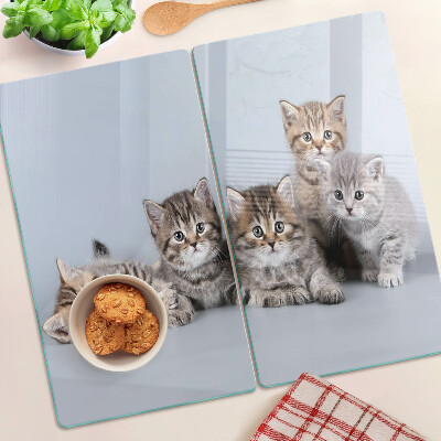Snijplanken glas Katten voor het raam