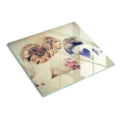 Glazen snijplanken Katten en een hond slapen samen