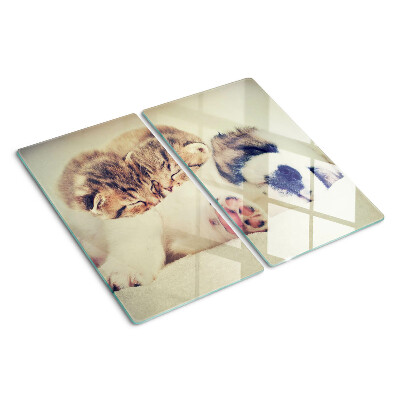 Glazen snijplanken Katten en een hond slapen samen