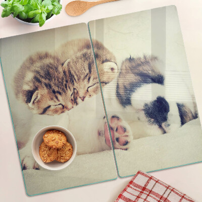 Glazen snijplanken Katten en een hond slapen samen