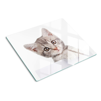 Snijplanken glas Kitten met grote ogen