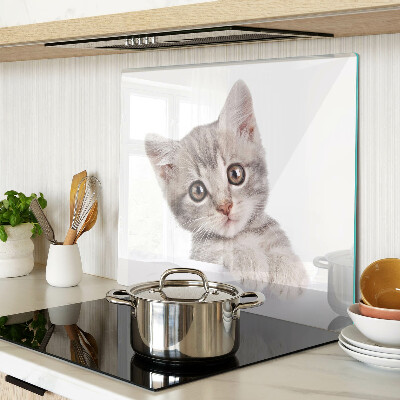 Snijplanken glas Kitten met grote ogen