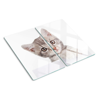 Snijplanken glas Kitten met grote ogen