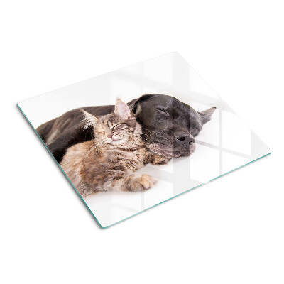 Snijplanken glas Kat en hond slapen samen