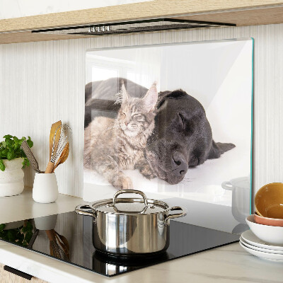 Snijplanken glas Kat en hond slapen samen