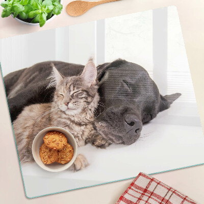 Snijplanken glas Kat en hond slapen samen
