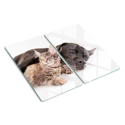 Snijplanken glas Kat en hond slapen samen