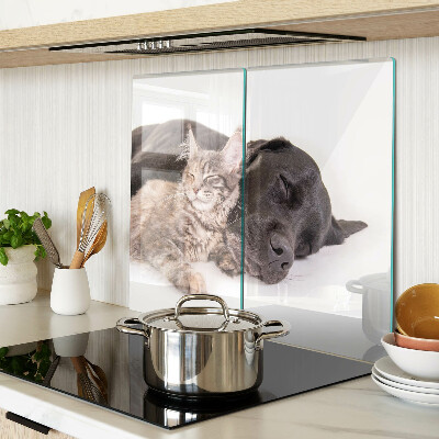 Snijplanken glas Kat en hond slapen samen