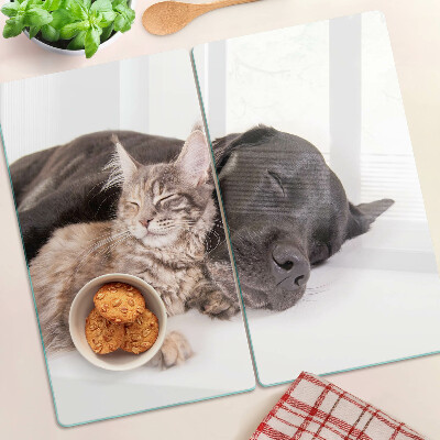 Snijplanken glas Kat en hond slapen samen