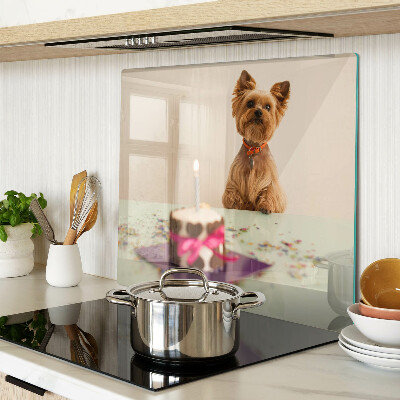 Snijplanken glas Hond aan tafel met taart