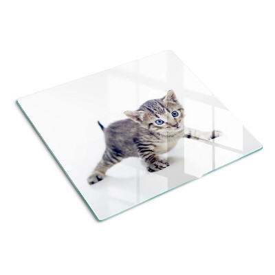 Glazen snijplanken Kitten met blauwe ogen