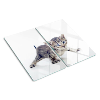 Glazen snijplanken Kitten met blauwe ogen