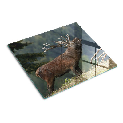Glazen snijplanken Hert in zijn natuurlijke habitat