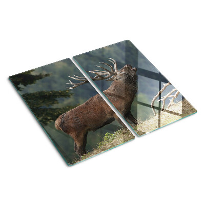 Glazen snijplanken Hert in zijn natuurlijke habitat