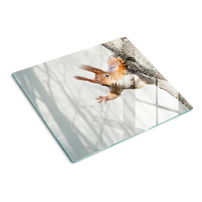 Glazen snijplanken Eekhoorn op een tak
