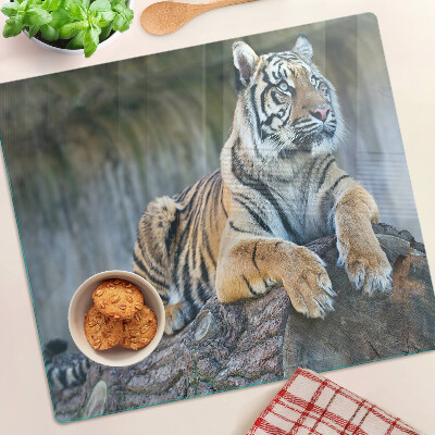 Snijplanken glas Tijger op een boomstam