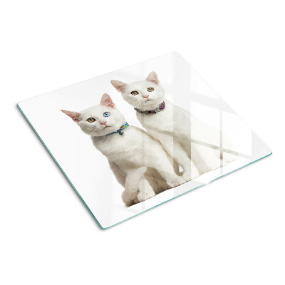 Snijplanken glas Witte katten met verschillend gekleurde ogen
