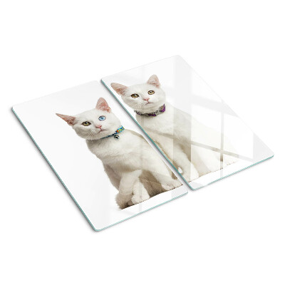 Snijplanken glas Witte katten met verschillend gekleurde ogen