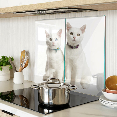 Snijplanken glas Witte katten met verschillend gekleurde ogen