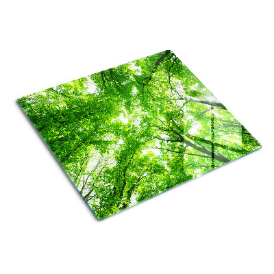 Glazen snijplanken Bossen en groene bomen