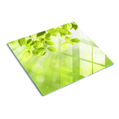 Snijplanken glas Groene bladeren tegen het licht