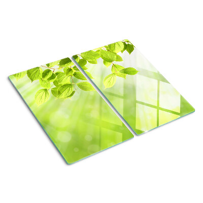 Snijplanken glas Groene bladeren tegen het licht