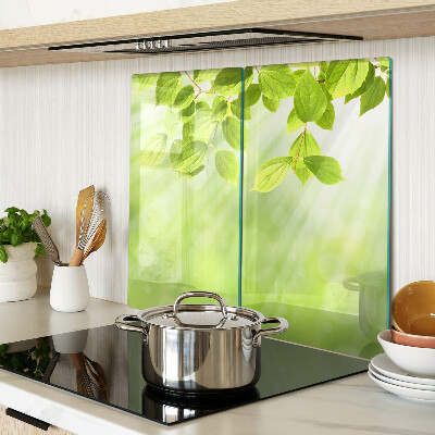 Snijplanken glas Groene bladeren tegen het licht