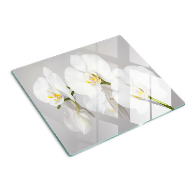 Glazen snijplanken Orchideeën op een spiegelachtergrond