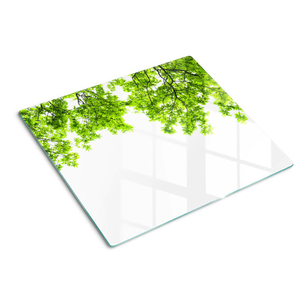 Snijplanken glas Groene bladeren tegen de lucht