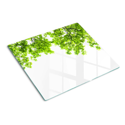 Snijplanken glas Groene bladeren tegen de lucht