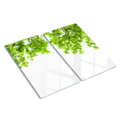 Snijplanken glas Groene bladeren tegen de lucht