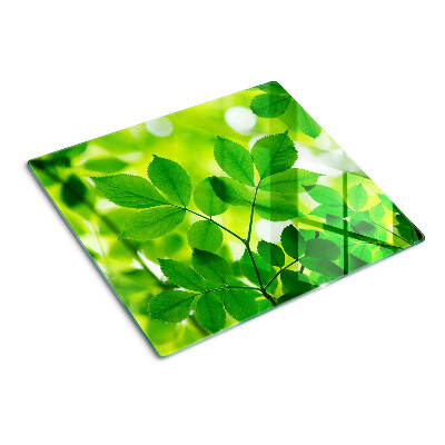 Glazen snijplanken Bladeren op een groene achtergrond