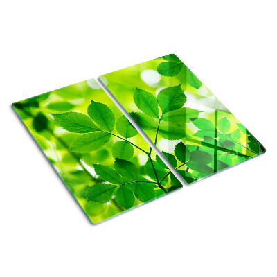 Glazen snijplanken Bladeren op een groene achtergrond