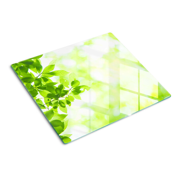 Glazen snijplanken Groene bladeren in het licht