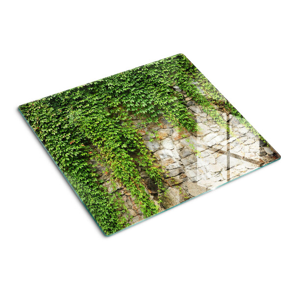 Snijplanken glas Groene muur met mos