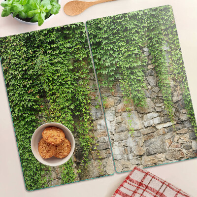 Snijplanken glas Groene muur met mos