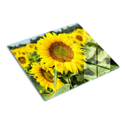 Glazen snijplanken Zonnebloemen tegen een groene achtergrond