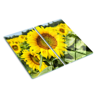 Glazen snijplanken Zonnebloemen tegen een groene achtergrond