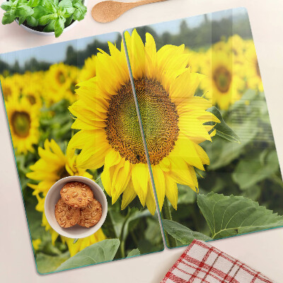 Glazen snijplanken Zonnebloemen tegen een groene achtergrond
