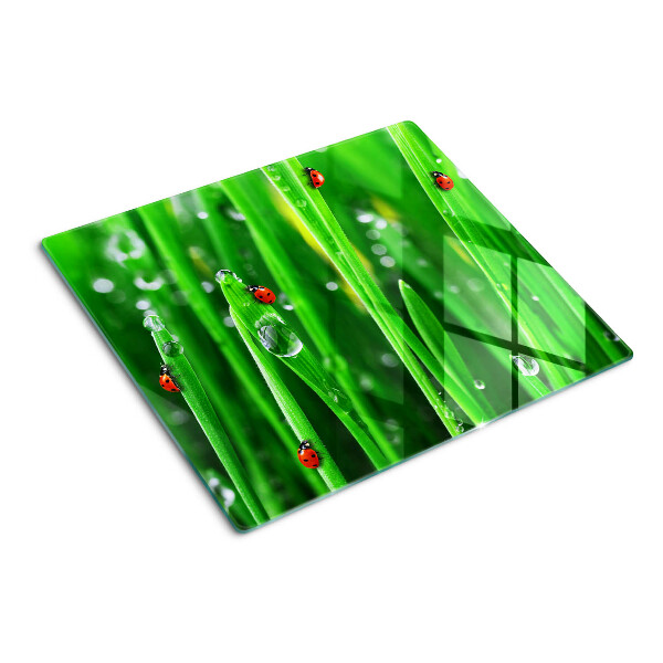 Snijplanken glas Waterdruppels op gras met lieveheersbeestjes