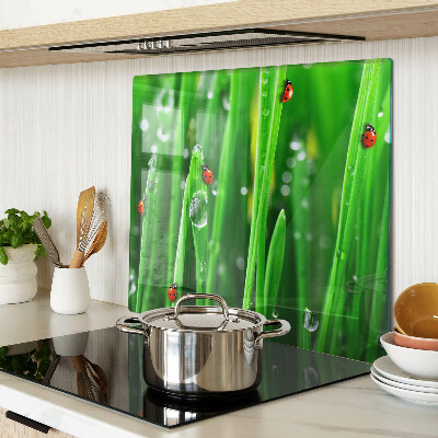 Snijplanken glas Waterdruppels op gras met lieveheersbeestjes