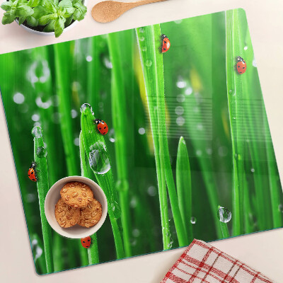 Snijplanken glas Waterdruppels op gras met lieveheersbeestjes