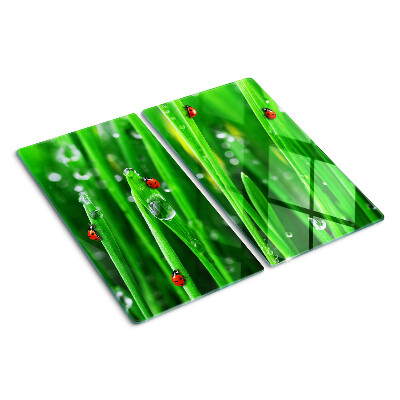 Snijplanken glas Waterdruppels op gras met lieveheersbeestjes